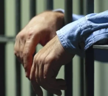 Р Е Ч Ь в защиту интересов обвиняемого С. при рассмотрении судом ходатайства о продлении срока содержания обвиняемого под стражей (пример) от 19.12.2013 года № 41